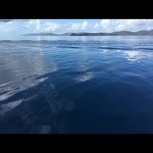 Meet your Posher, Naomi